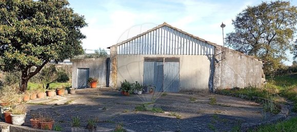 Studio in Ourem, Portugal, Nr. 67514 4