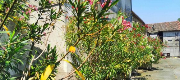 6-salle Maison à San Martino dall'Argine, Italy No. 5492 58