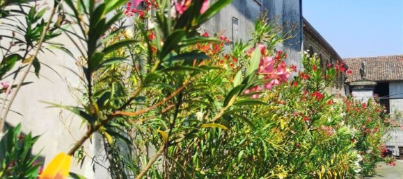 6-salle Maison à San Martino dall'Argine, Italy No. 5492 64