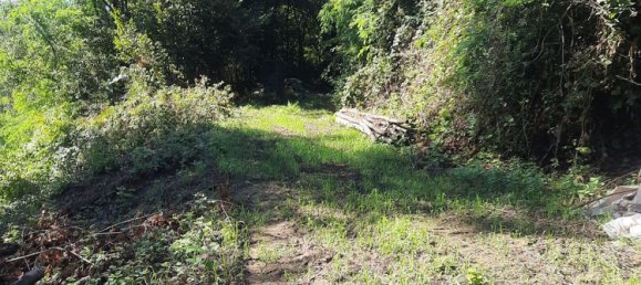 1 bedroom House in Camburzano, Italy No. 317255 12