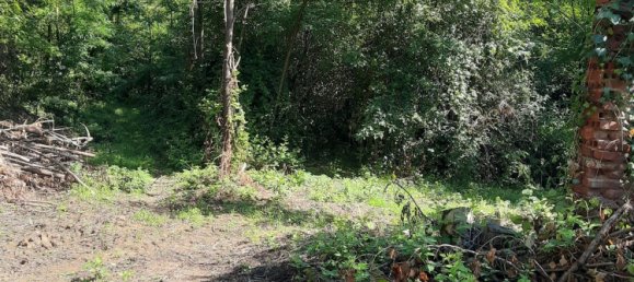 1 bedroom House in Camburzano, Italy No. 317255 8