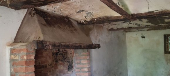 1 bedroom House in Camburzano, Italy No. 317255 17