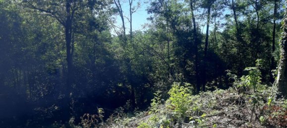 1 bedroom House in Camburzano, Italy No. 317255 9