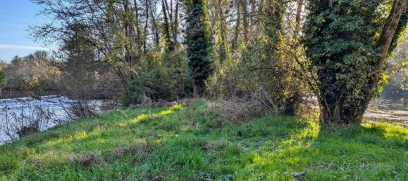 4 chambres Maison à Mailly-le-Château, France No. 274822 10