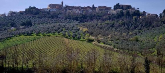 5 rooms Villa in Loreto Aprutino, Italy No. 43133 7