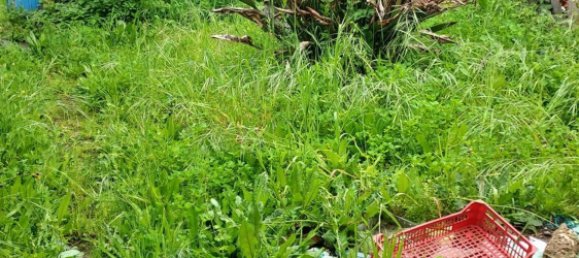 3 chambres Maison à Santo Varao, Portugal No. 167666 25