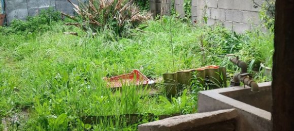 3 chambres Maison à Santo Varao, Portugal No. 167666 24