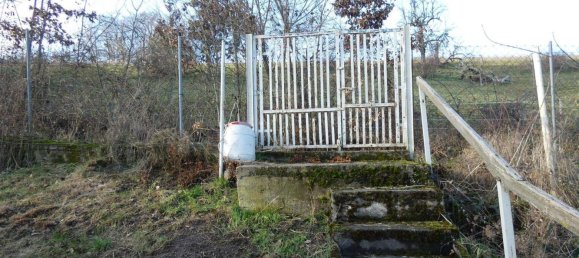 4 chambres Maison à Odenwaldkreis, Germany No. 59631 24