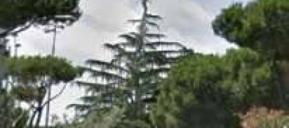 1 room Commercial property in Rome, Italy No. 332915 12