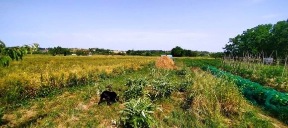 10 Schlafzimmer Villa in Rimini, Italy, Nr. 319342 42