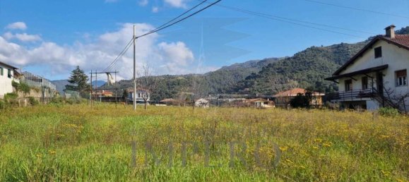 1500m² Land in Camporosso, Italy No. 330014 4