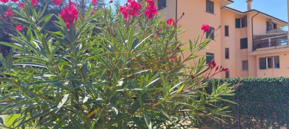 2 bedrooms Apartment in Bordighera, Italy No. 374603 24