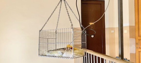 2 rooms Apartment in Catania, Italy No. 48739 23