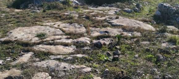 3-Zimmer Haus in Ostuni, Italy, Nr. 118727 43