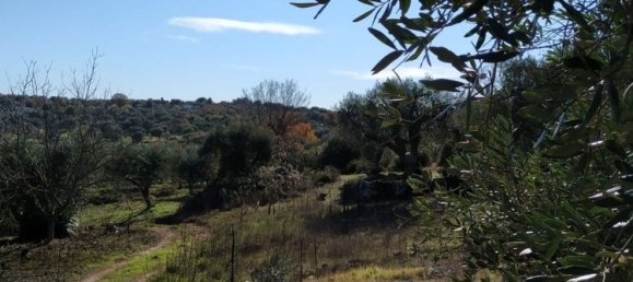 3-Zimmer Haus in Ostuni, Italy, Nr. 118727 37