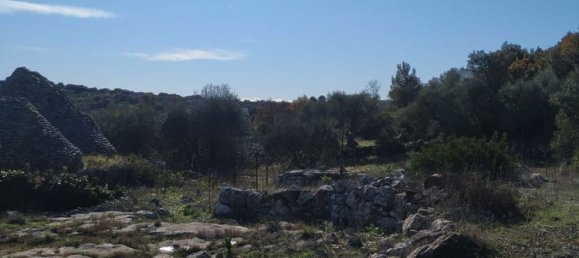 3-Zimmer Haus in Ostuni, Italy, Nr. 118727 45