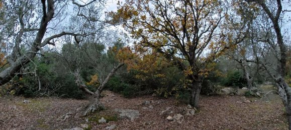 3-Zimmer Haus in Ostuni, Italy, Nr. 118727 19