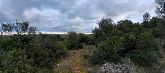 3-Zimmer Haus in Ostuni, Italy, Nr. 118727 20