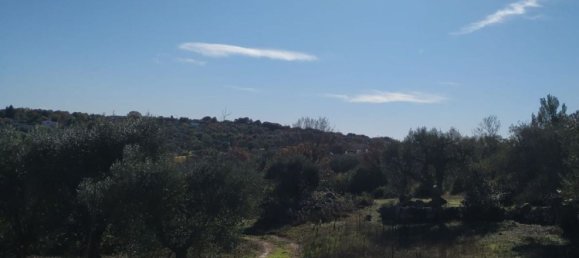 3-Zimmer Haus in Ostuni, Italy, Nr. 118727 41
