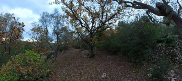 3-Zimmer Haus in Ostuni, Italy, Nr. 118727 18