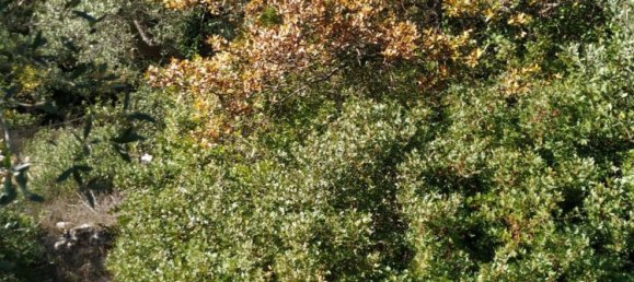 3-Zimmer Haus in Ostuni, Italy, Nr. 118727 36