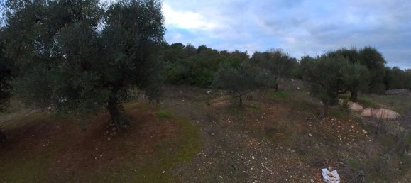 3-Zimmer Haus in Ostuni, Italy, Nr. 118727 24