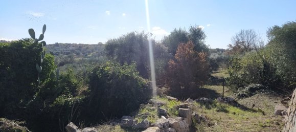 3-Zimmer Haus in Ostuni, Italy, Nr. 118727 28