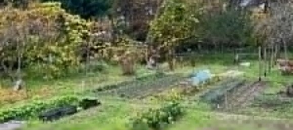 1 bedroom House in Loiret, France No. 160932 2