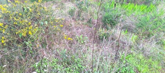 Terreno em Cascais, Portugal 1750 m² N.º 128662 2