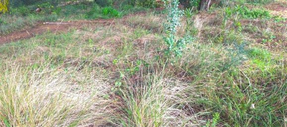 Terreno em Cascais, Portugal 1750 m² N.º 128662 3