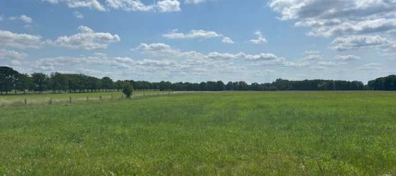 Дом с 4 комнатами в Пригниц, Германия № 225899 8