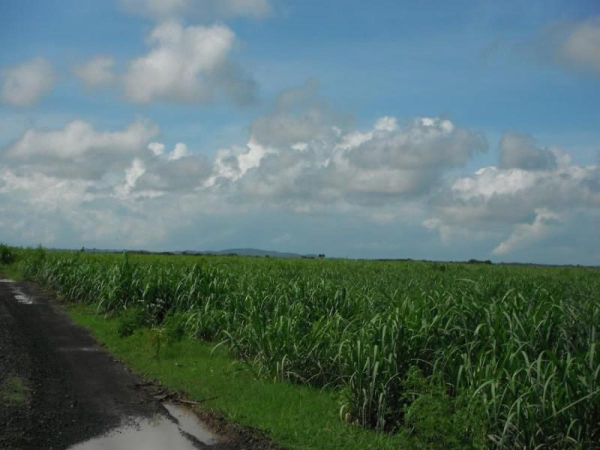 Studio in Tijuana, Mexico, Nr. 159396