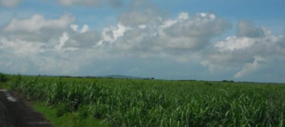 Studio in Tijuana, Mexico, Nr. 159396 2
