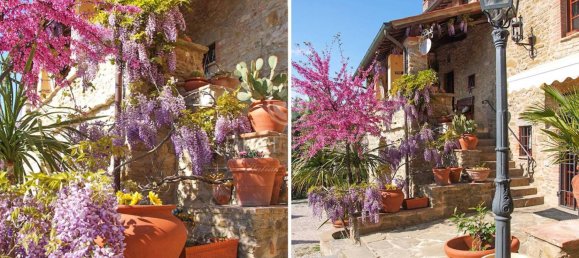 4 bedrooms House in Passignano sul Trasimeno, Italy No. 172566 5