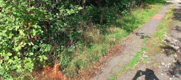 Terrain à Rems-Murr-Kreis, Germany No. 262925 5