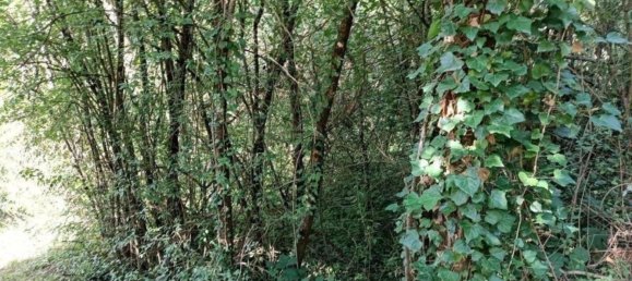 Terrain à Rems-Murr-Kreis, Germany No. 262925 9