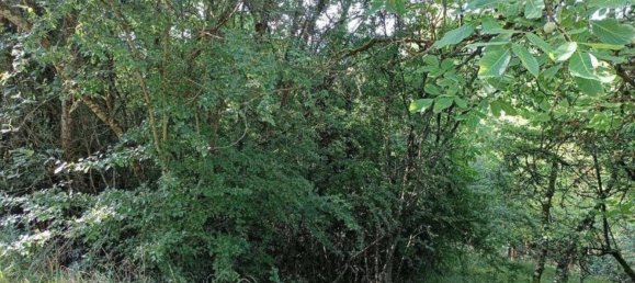 Terrain à Rems-Murr-Kreis, Germany No. 262925 8