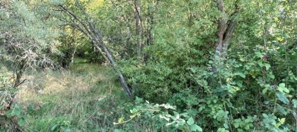 Terrain à Rems-Murr-Kreis, Germany No. 262925 16