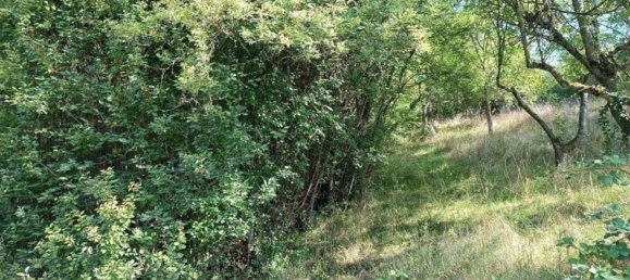 Terrain à Rems-Murr-Kreis, Germany No. 262925 15