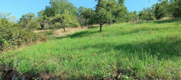 Terrain à Rems-Murr-Kreis, Germany No. 262925 17