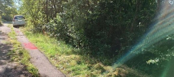 Terrain à Rems-Murr-Kreis, Germany No. 262925 7