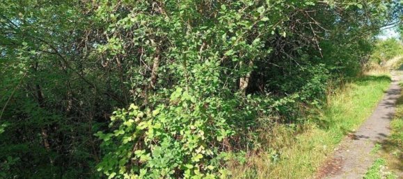 Terrain à Rems-Murr-Kreis, Germany No. 262925 6