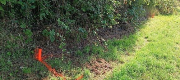 Terrain à Rems-Murr-Kreis, Germany No. 262925 13