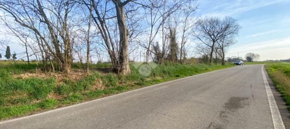 30000m² Land in Volta Mantovana, Italy No. 125814 18