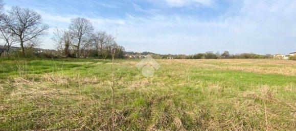 30000m² Land in Volta Mantovana, Italy No. 125814 16