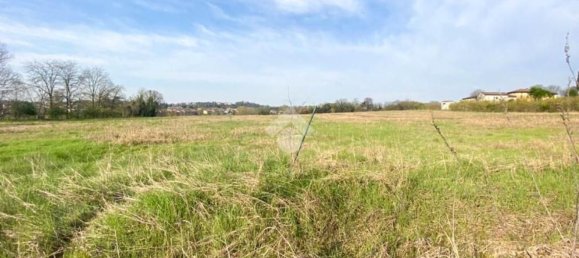 30000m² Land in Volta Mantovana, Italy No. 125814 17