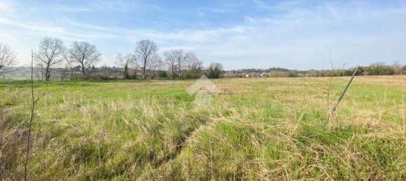 30000m² Land in Volta Mantovana, Italy No. 125814 6
