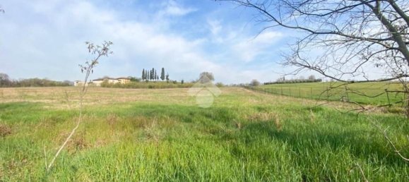30000m² Land in Volta Mantovana, Italy No. 125814 12