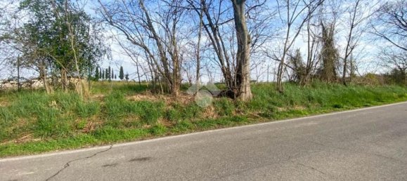 30000m² Land in Volta Mantovana, Italy No. 125814 20