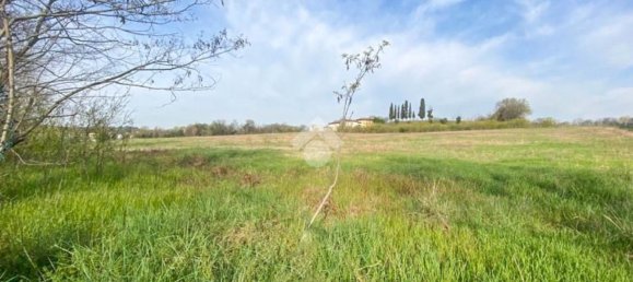 30000m² Land in Volta Mantovana, Italy No. 125814 8